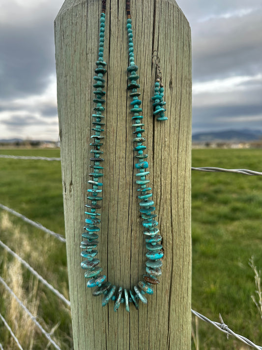 Mixed Turquoise Disc Necklace & Earrings