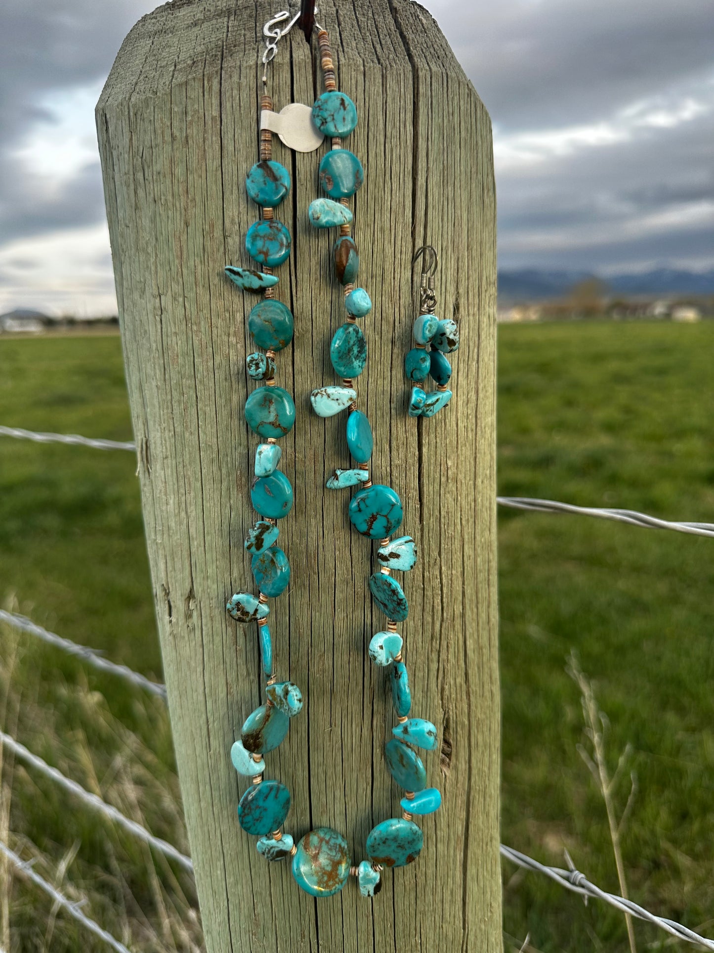 Mixed Turquoise Necklace and Earrings